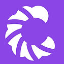 CookiesRegTech icon