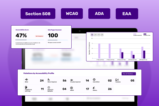 SkynetAccessibility Scanner banner