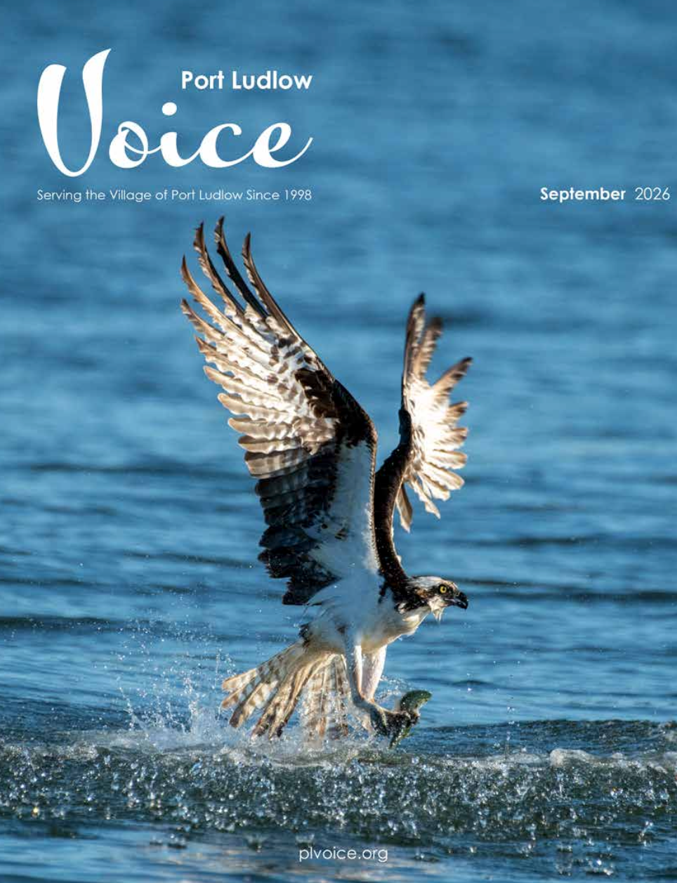 PL_Voice_2026_9_cover.png