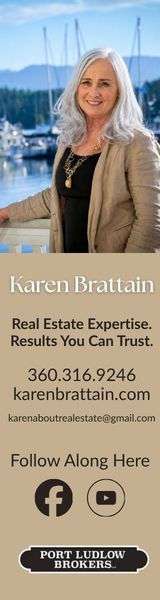 Karen Brattain The Voice Web Ad Skyscraper.jpg
