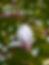 PL_Voice_2026_5_Cover.png