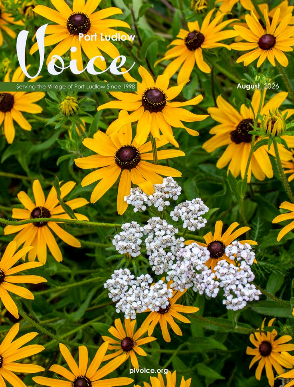 PL_Voice_2026_8_cover.png