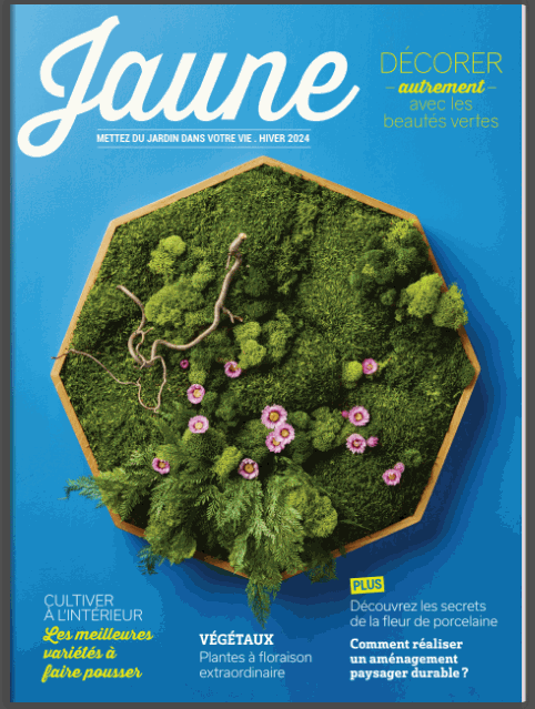 Magazine jaune 1.gif