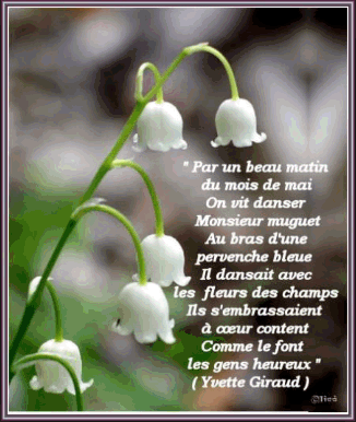 Mai dicton 1.gif