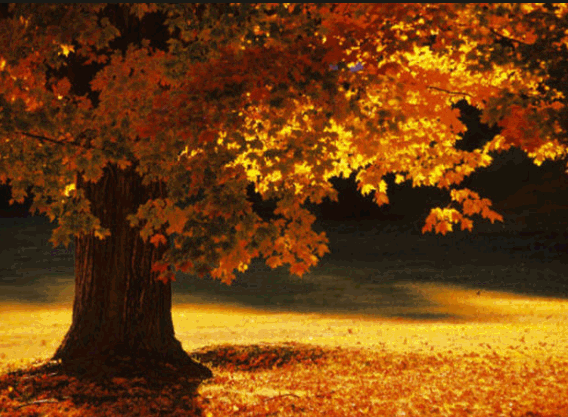 Septembre.gif