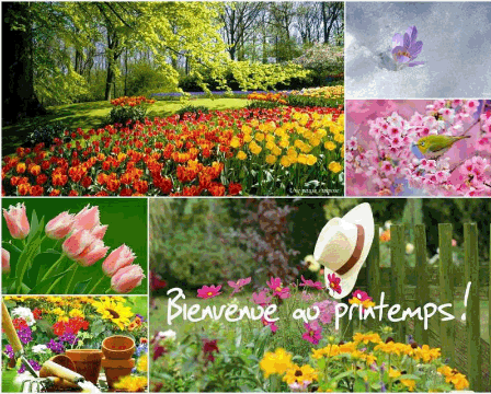 Printemps2.gif