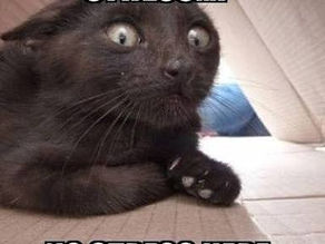 Queda de cabelo e o stress