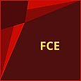 img_FCE.png