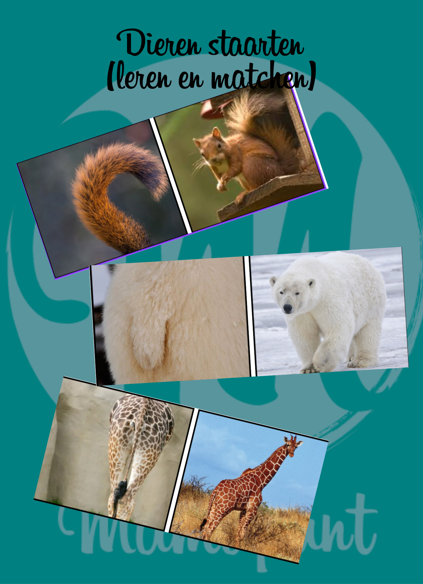 Printable -  Dierenstaarten