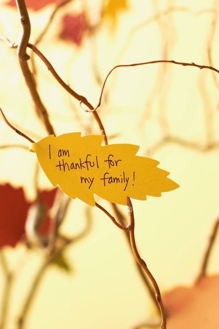 Baby Keepsake Corner Thankful Leaves