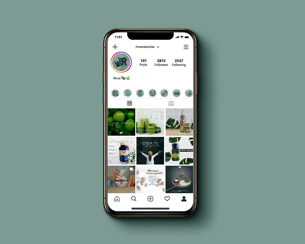 Feeds Instagram Morfosis_Mesa de trabajo