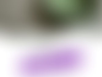 モダン金継ぎ・グルー継ぎレッスン終了!