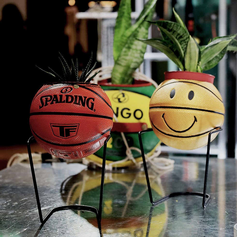 縮圖：球類植栽訂製