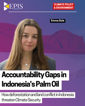 Accountability Gaps in Indonesia’s Palm Oil
