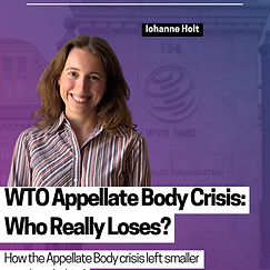 WTO Appellate Body Crisis: Who Really Loses?