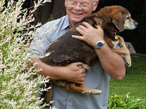 Peter's Picks - Chosen