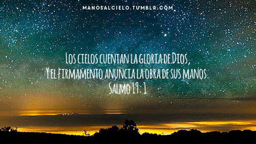 ImmaculateImpoliteColt-size_restricted