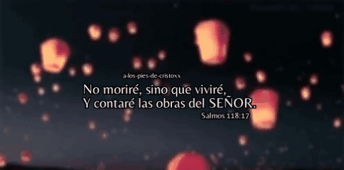 tumblr_opfsi7AEb21v07y5fo1_500