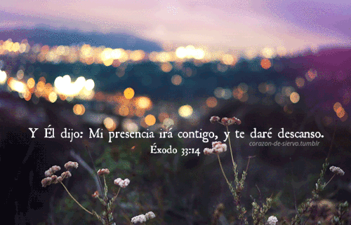 tumblr_om32w38y681uxc96ro1_500