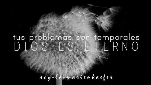 tumblr_n9gfk0AYSb1t3tx8to1_500