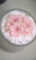 DSC_0861_edited_edited.jpg