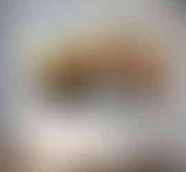 This stunning wall art print depicts a charming shack nestled by a peaceful creek in the midst of springtime.