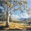 Thumbnail: Under the Eucalypt Sky