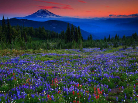 “La beauté du cœur n'a nul besoin d'artifices pour durer éternellement.” - Michel Vaner