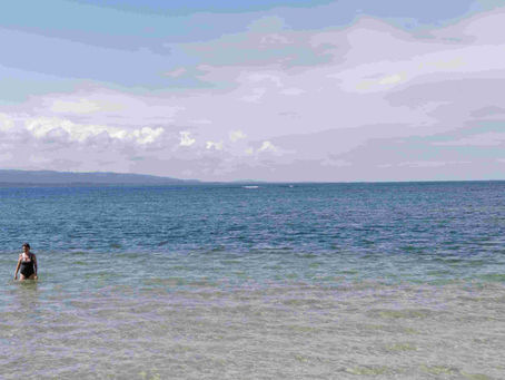 “La joie partagée grandit.” - Massa Makan Diabaté