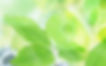 Photo manipulation of 03_Industry and Green 187_Greeny_Nature (1).jpg