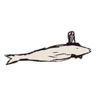 fish.png