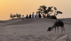DesertRetreat_0006_Layer-12