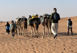 DesertRetreat_0001_Layer-8
