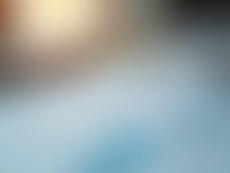 Enhance Your Credit Profile with 11Credit Services