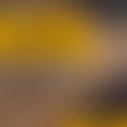 Tributação de lucros e dividendos volta ao centro do debate e pode impactar holdings familiares e planejamento sucessório