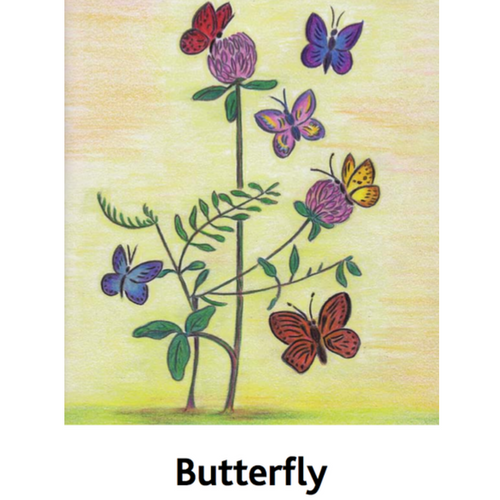 MISP Massage Routine Cards | MNB Nurturing Touch