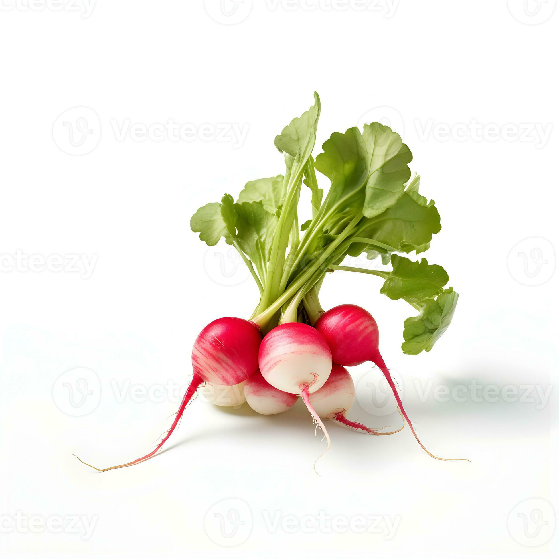 Radish 24 Bunch box