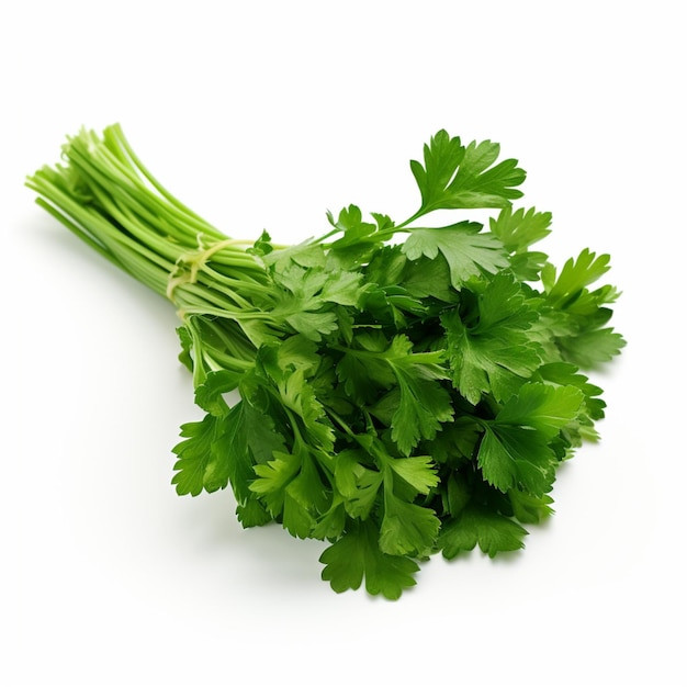 Parsley 30 Bunch box