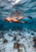 Snorkeling near luxury Belize Eco-lodge Copal Tree Lodge.webp