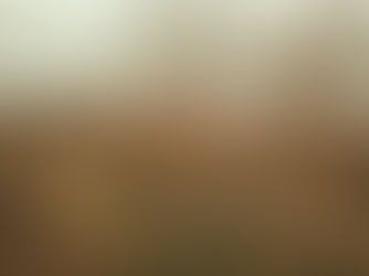 Quatrième vidéo d'une série - Nos forêts, un potentiel à révéler