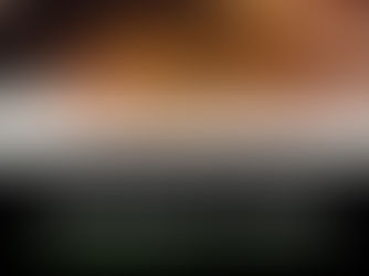 L’industrie acéricole du Nouveau-Brunswick démontre sa résilience avec un rendement soutenu en 2025