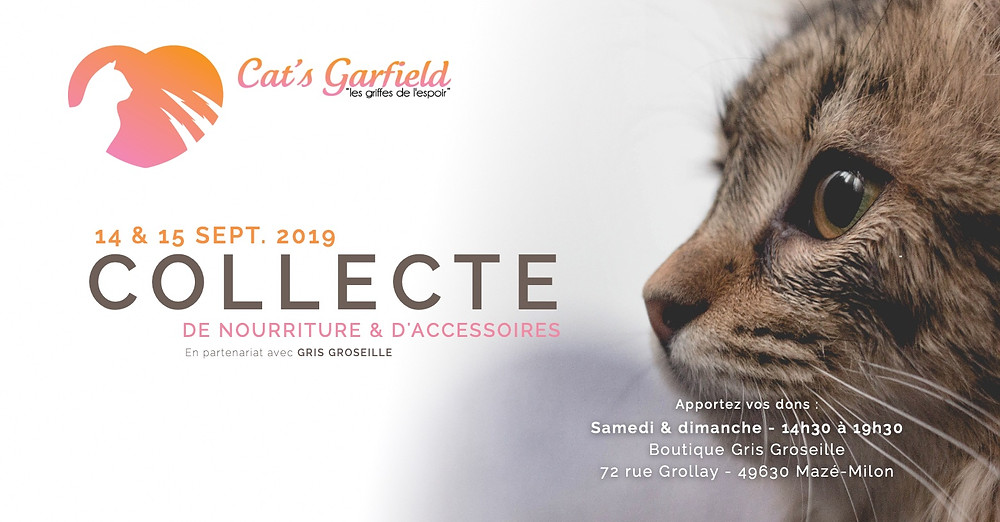 Collecte de nourriture et d'accessoires au profit de l'association Cat's Garfield, le 14 & 15 septembre 2019 à Gris Groseille.