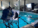 IMG_8918.jpeg