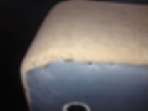 bed bug control melbourne