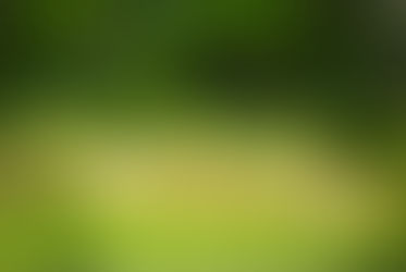 Momente zum Flüstern