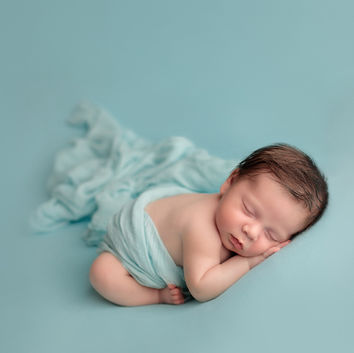 Photography & Fine Art