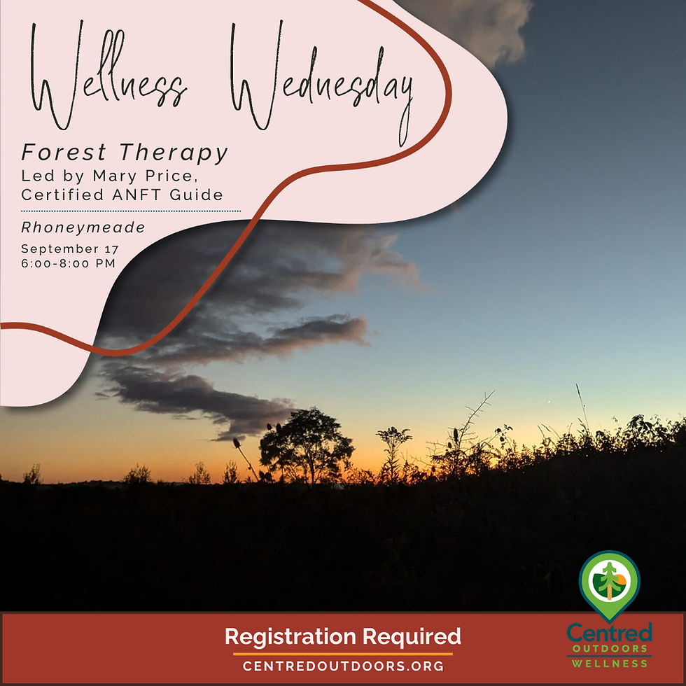 Wellness Wednesday: Forest Therapy
