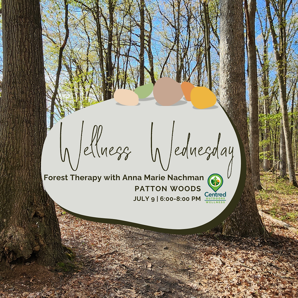 Wellness Wednesday: Forest Therapy