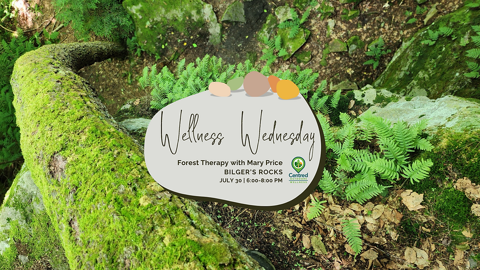 Wellness Wednesday: Forest Therapy