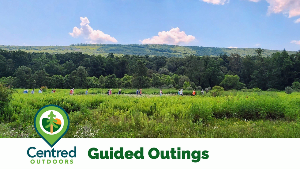 Centred Outdoors Guided Outings. Image of mountain with hikers walking across the valley below. 